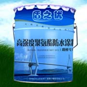深圳蓝盾防水工程有限公司云南分公司